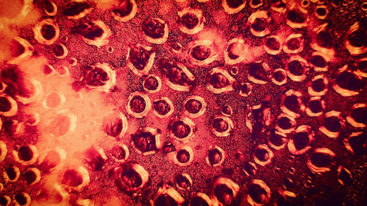 About Stem Cell Conditioned Media